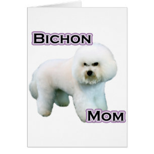 Bichon Frise Mum 4