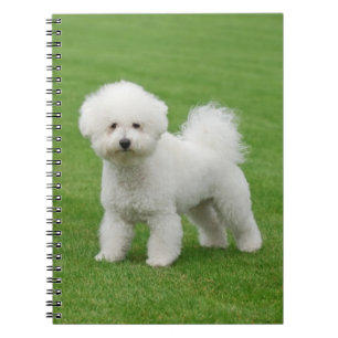 Bichon Frise Notebook