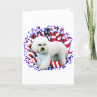 Bichon Frise Patriot