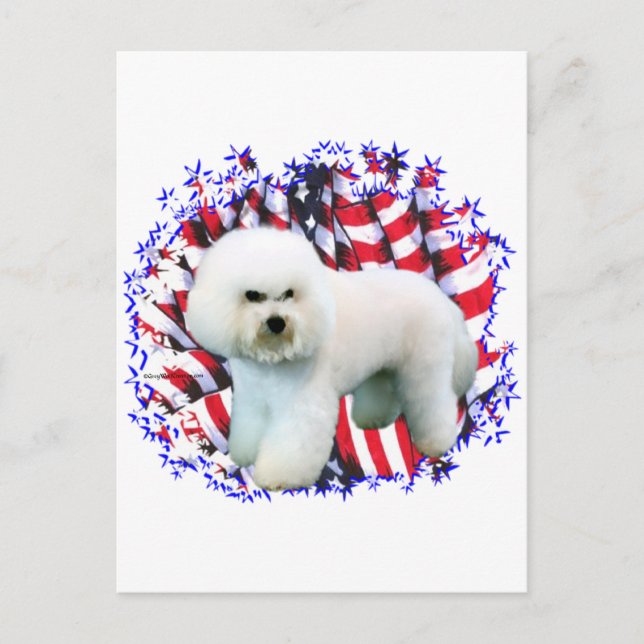 Bichon Frise Patriot Postcard (Front)