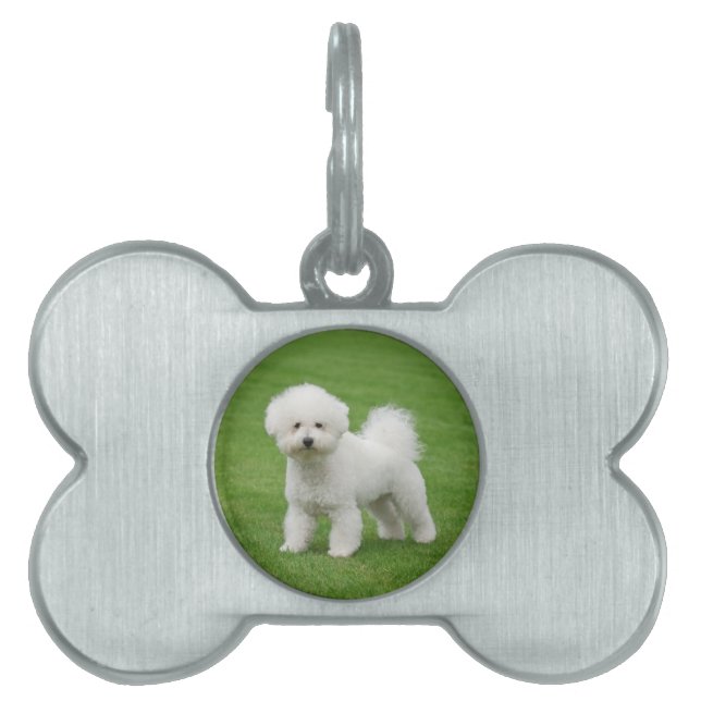 Bichon Frise Pet ID Tag (Front)