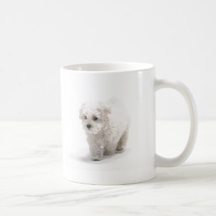 Bichon Frise Photo Coffee Mug
