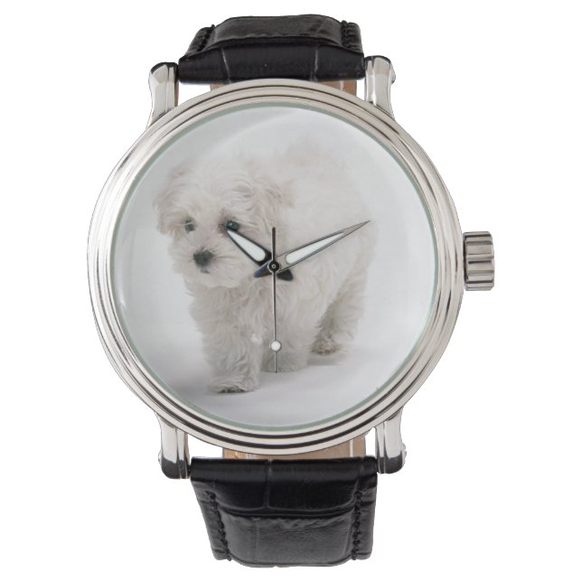 Bichon Frise Photo Watch (Front)