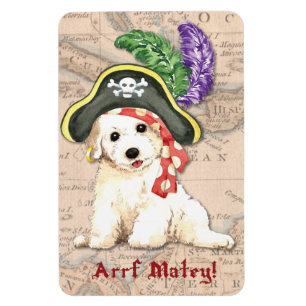 Bichon Frise Pirate Magnet