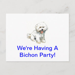 Bichon Frise Postcard