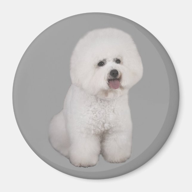Bichon Frise Precious Magnet (Front)