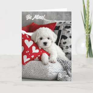 Bichon Frise Puppy Valentine Card
