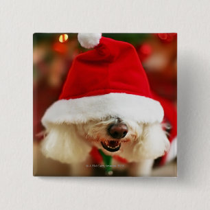 Bichon Frise puppy wearing Santa costume 15 Cm Square Badge