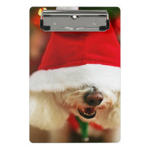 Bichon Frise puppy wearing Santa costume Mini Clipboard