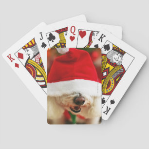 Bichon Frise puppy wearing Santa costume Playing Cards