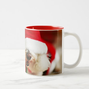 Bichon Frise puppy wearing Santa costume Two-Tone Coffee Mug