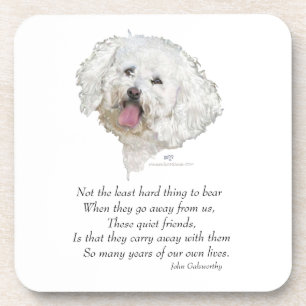 Bichon Frise Rainbow Bridge Coaster