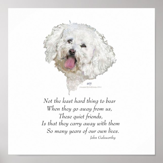 Bichon Frise Rainbow Bridge Poster (Front)