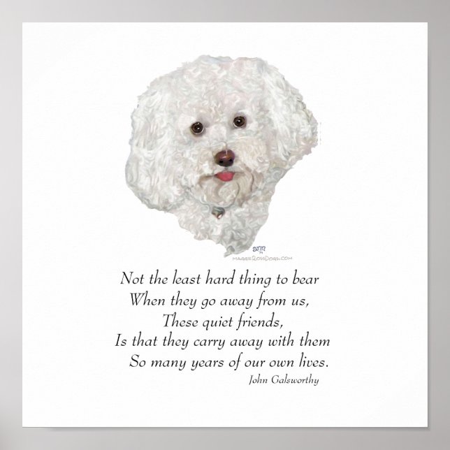 Bichon Frise Rainbow Bridge Poster (Front)