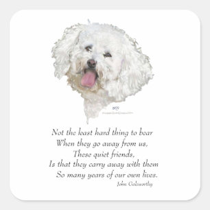 Bichon Frise Rainbow Bridge Square Sticker