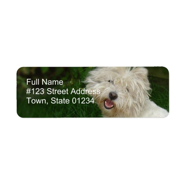 Bichon Frise Return Address Label (Front)