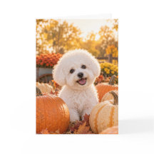 Bichon Frise Thanksgiving Card