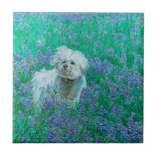 Bichon Frise Tile