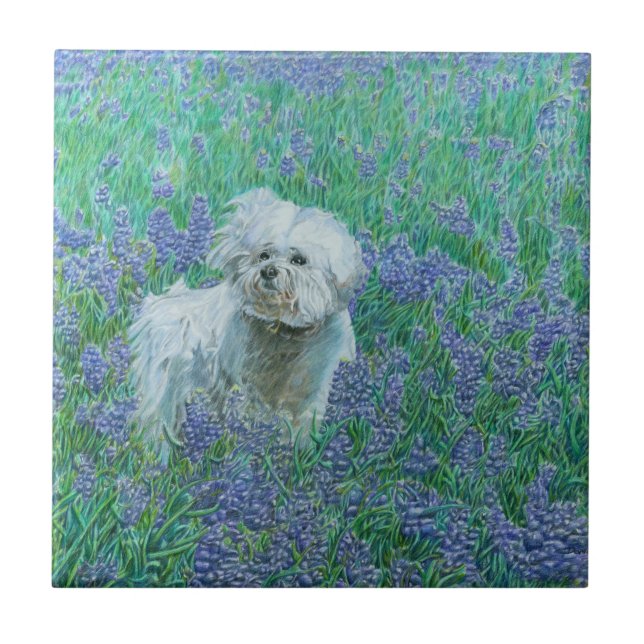 Bichon Frise Tile (Front)