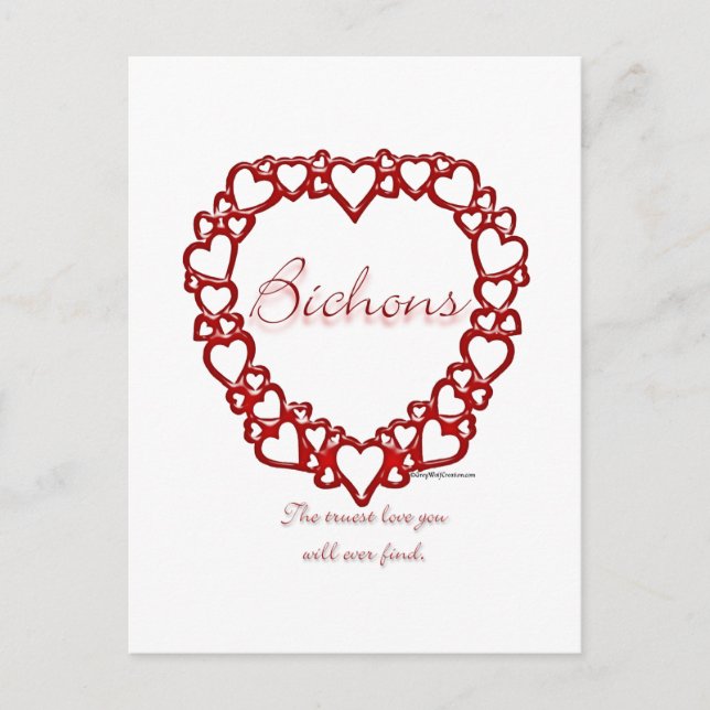 Bichon Frise True Love Postcard (Front)