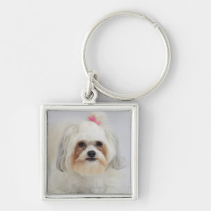 bichon frise with a pink bow in it's hair key ring