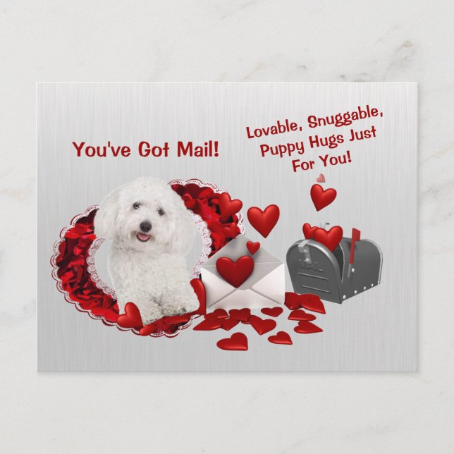 Bichon Frise You've Got Mail Puppy Hugs Valentine Holiday Postcard (Front)