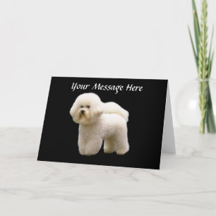 Bichon Greeting Card