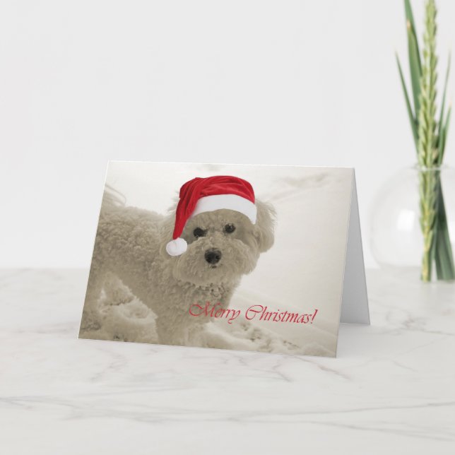 Bichon Merry Christmas Holiday Card (Front)