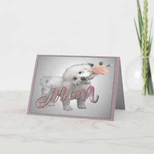Bichon Mother Day card