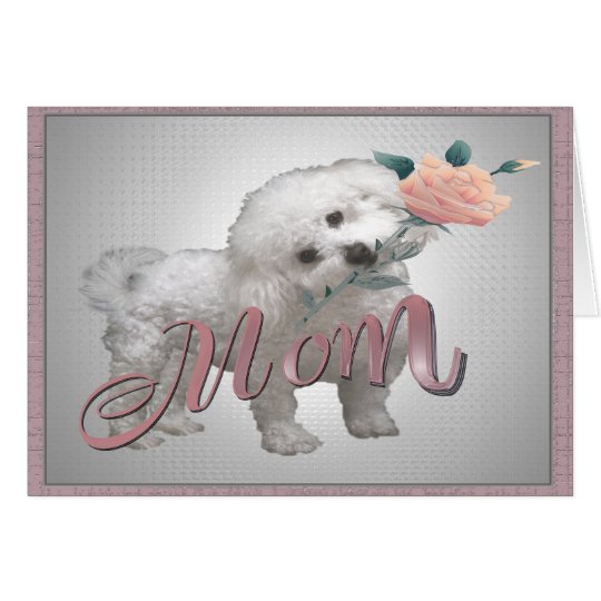Bichon Mother Day card