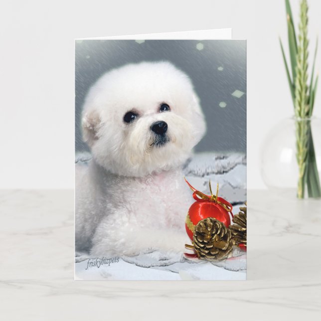 Bichon Season Greetings Holiday Card (Front)