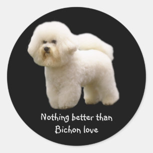 Bichon Sticker