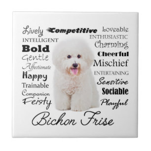 Bichon Traits Tile