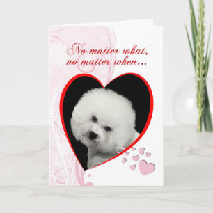 Bichon Valentine's Card