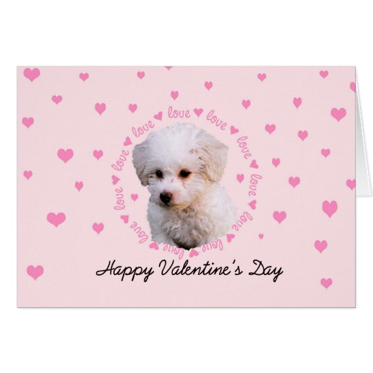 Bichon Valentine's Day Card