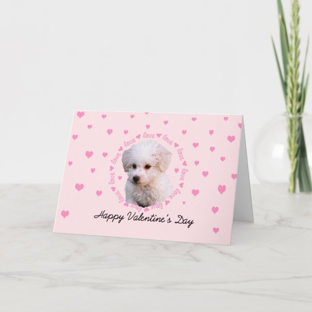 Bichon Valentine's Day Holiday Card (Front)