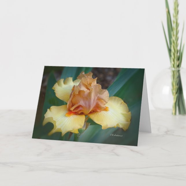 Bicolor Iris (Tan & Yellow) Card (Front)
