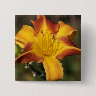 Bicolor yellow and red ornamental lily 15 cm square badge