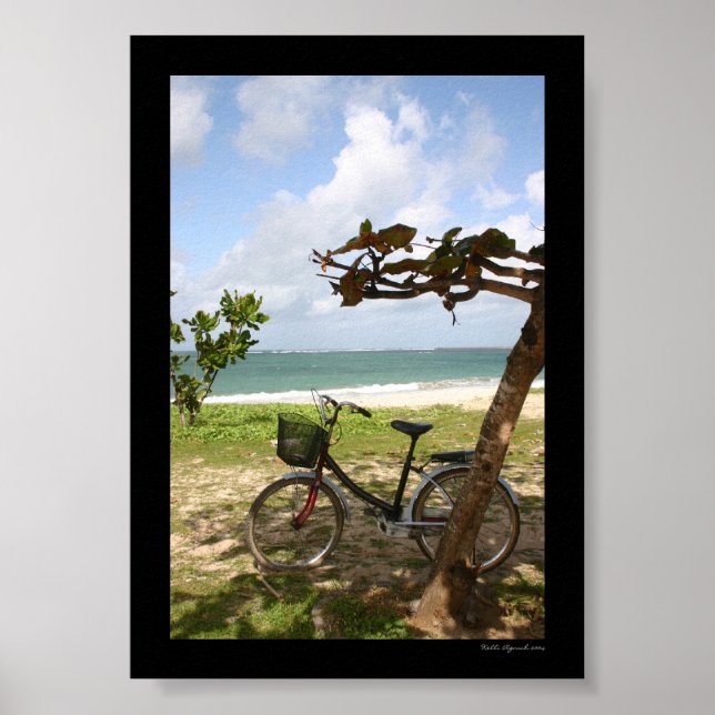 Bicycle Against Tree Poster (Front)