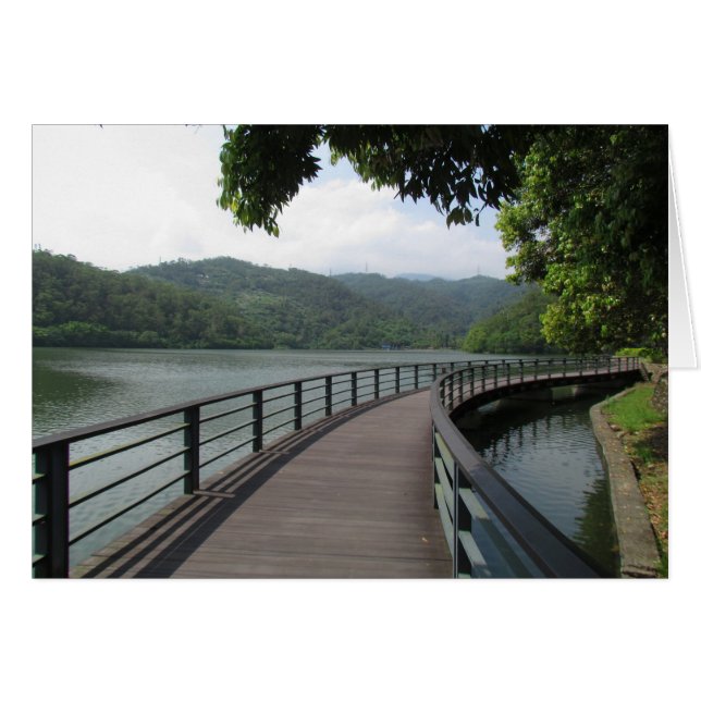 Bicycle Bridge (Front Horizontal)