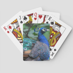Bicycle Card Template - Customised
