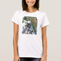 Bicycle covered with Clematis flowers Circle Top