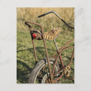 Bicycle Cycle Bicycling Cycling Banana Cruiser Postcard