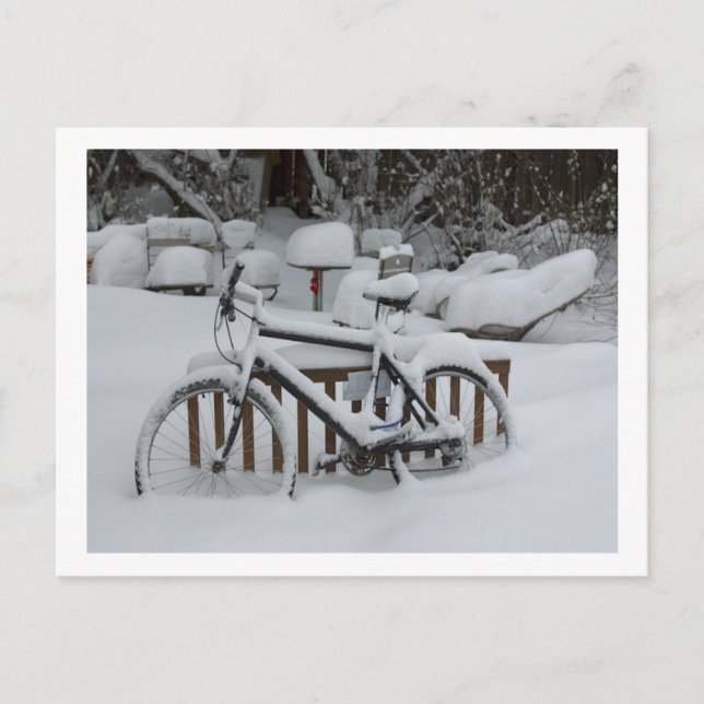 Bicycle Cycle Bicycling Cycling Waiting For Spring Postcard (Front)