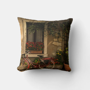 BICYCLE LEANING ON HOUSE CUSHION