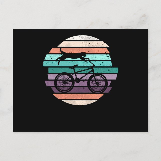 Bicycle motocross cat cycling cats rider postcard (Front)