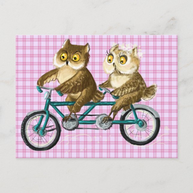 Bicycle owls postcard (Front)