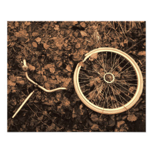 Bicycle parts with autumn leaves photo print