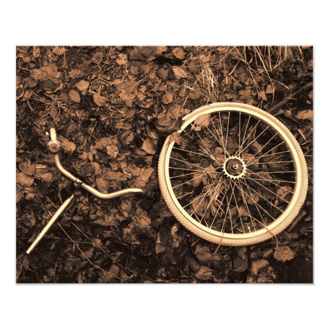 Bicycle parts with autumn leaves photo print (Front)