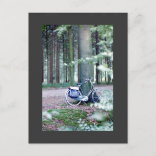 Bicycle Resting Postcard